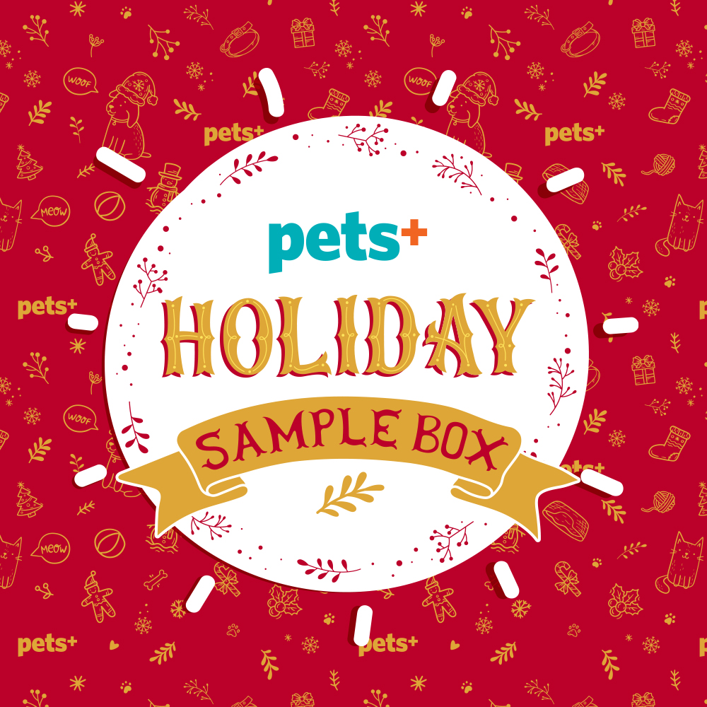 See What Was Inside the Holiday Sample Box!