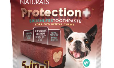 Ark-Naturals-dental-chews