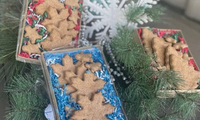natures_animals_new_holiday_treats