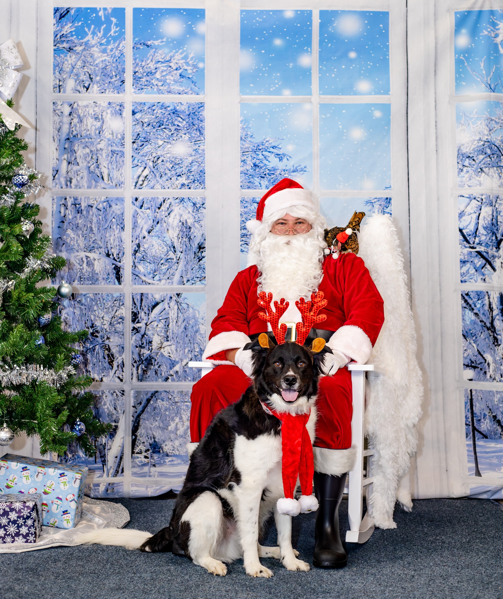 Indie Pet Stores Celebrate the Holidays With Santa, the Grinch and Deadpool!