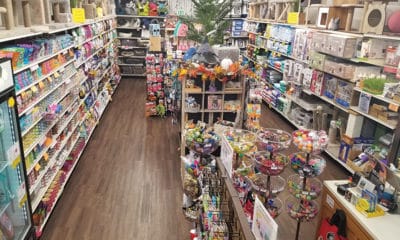 Kitty customers at Firehouse Pet Shop have a department all to themselves.