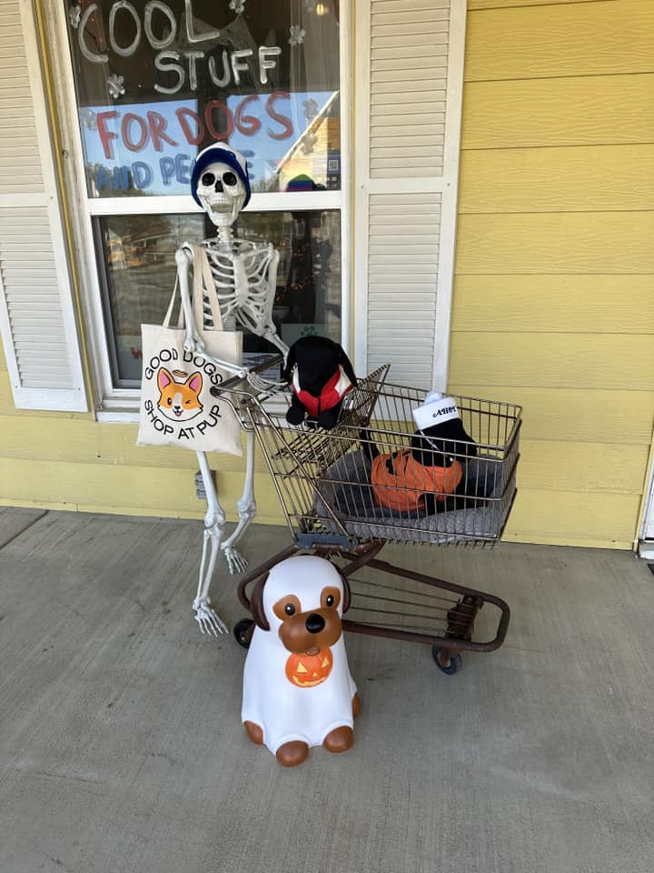 Boo! Indie Pet Stores Celebrate Halloween With Harry Potter, Great Pumpkin and More Spooky Fun