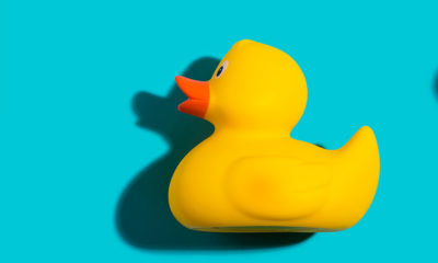 rubber-duck