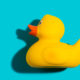 rubber-duck