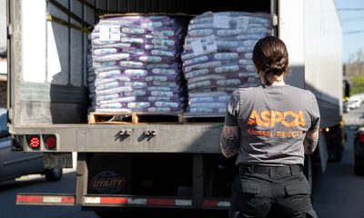 Stella and Chewy ASPCA Warehouse Delivery