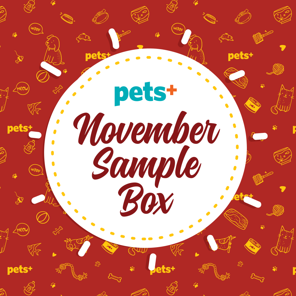 See What Was Inside the  November Sample Box!