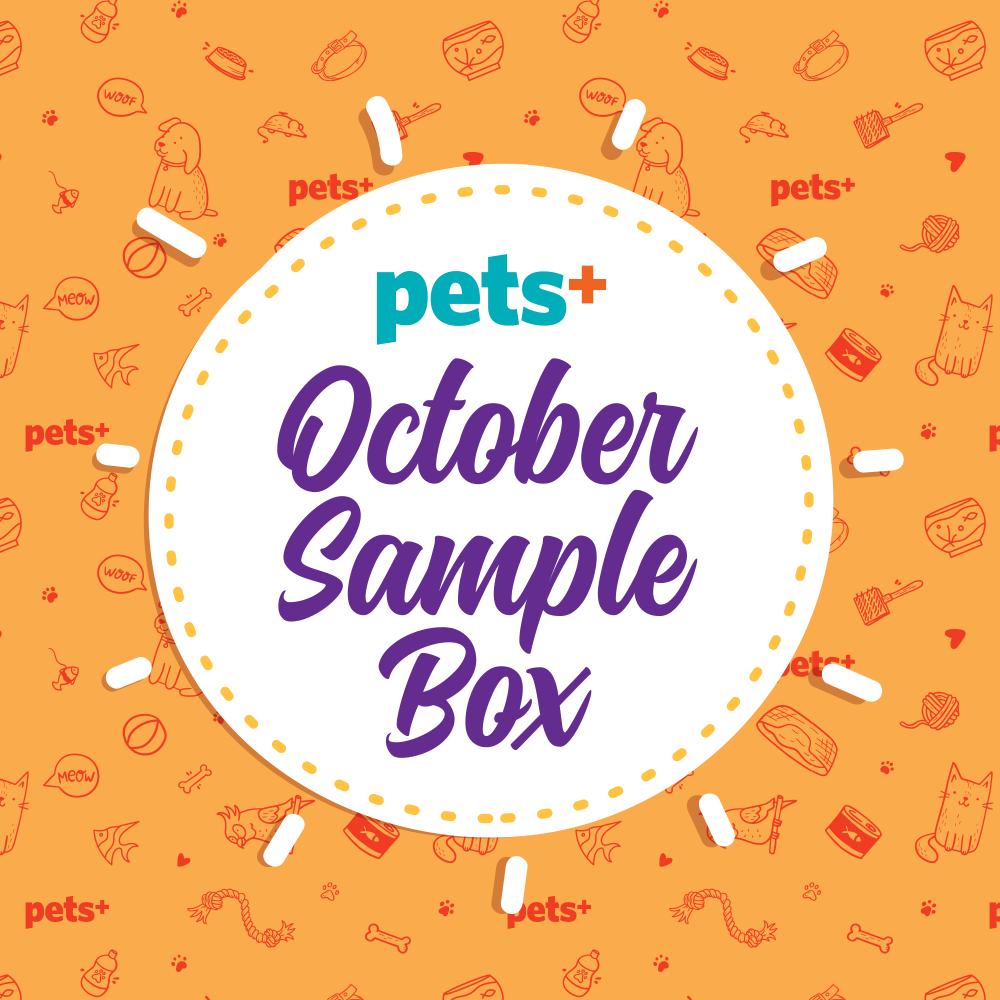 See What Was Inside the October Sample Box!